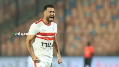 حمزة المثلوثي