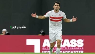احمد مصطفى زيزو