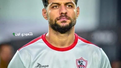 مصطفى شلبي