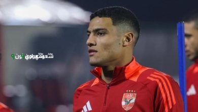 مصطفى العش