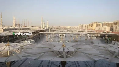 المدينة المنورة