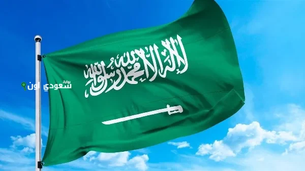 السعودية تقدم تعازيها للهند إثر حادث سقوط طائرة مدنية مؤسف