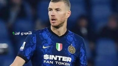 إدين دجيكو
