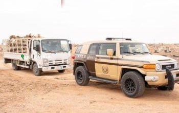 ضبط 17 شخصًا مخالفًا لنظام البيئة في الرياض