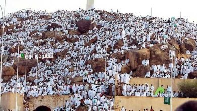 تجمع المشاعر والتآلف في يوم عرفة