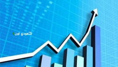 ارتفاع تدفق الاستثمار الأجنبي المباشر إلى السعودىة