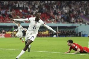تيموثي ويا