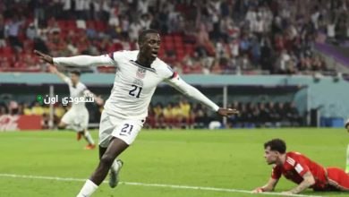 تيموثي ويا
