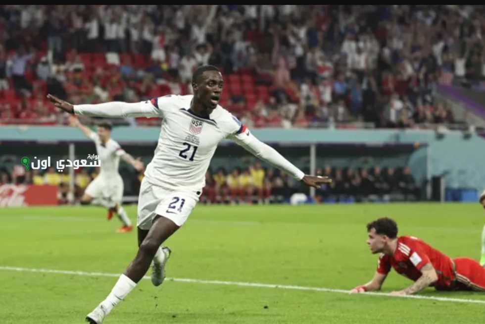 تيموثي ويا