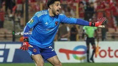 مصطفى شوبير