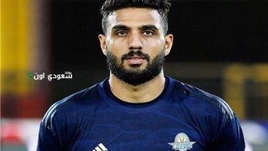 أحمد الشناوي