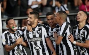 نادي بوتافوجو البرازيلي