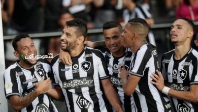 نادي بوتافوجو البرازيلي