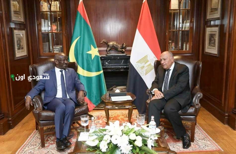 وزير الخارجية يعقد مباحثات مع نظيره الموريتاني لتعزيز التعاون الثنائي بين البلدين