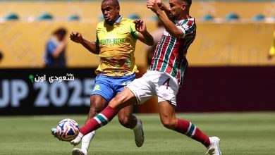 ماميلودي صنداونز مع فلومينينسي