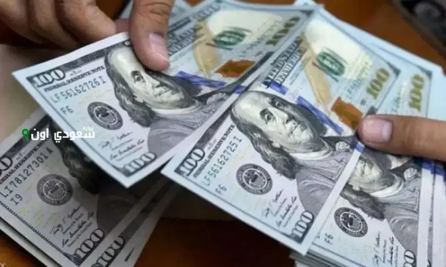سعر الدولار مقابل الجنيه المصري في السوق السوداء اليوم الاحد