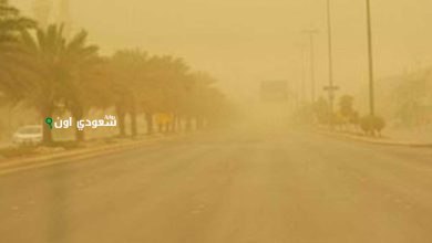 الطقس اليوم رياح مثيرة للأتربة تسيطر على خمس مناطق