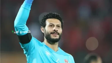 الشناوي