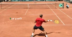 منتخب التنس