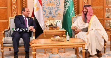 مجلس تنسيق سعودي مصري برئاسة ولي العهد والرئيس السيسي لتعزيز أوجه التعاون الاقتصادي والسياسي