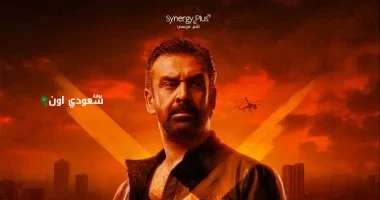 المشروع X