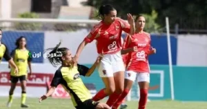 دوري الكرة النسائية