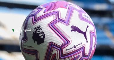 كرة البريمرليج