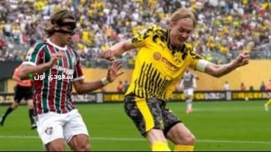 فلومينينسي وبوروسيا