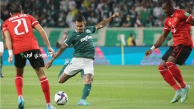 الأهلي و بالميراس
