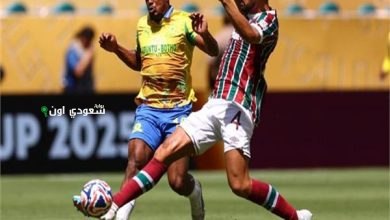 صنداونز وفلومينينسي
