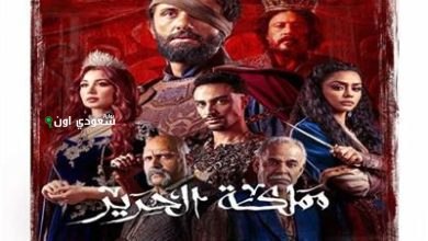 مسلسل مملكة الحرير