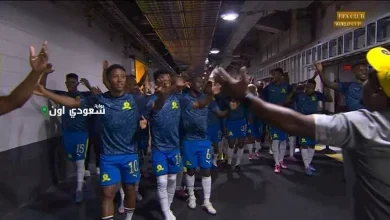 لاعبو صن داونز