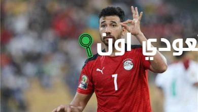 محمود حسن تريزيجيه