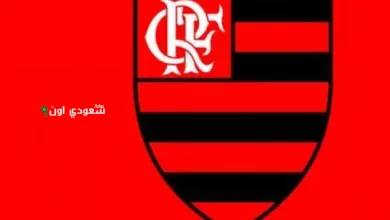 فلامنجو