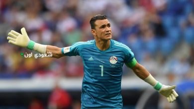 عصام الحضري