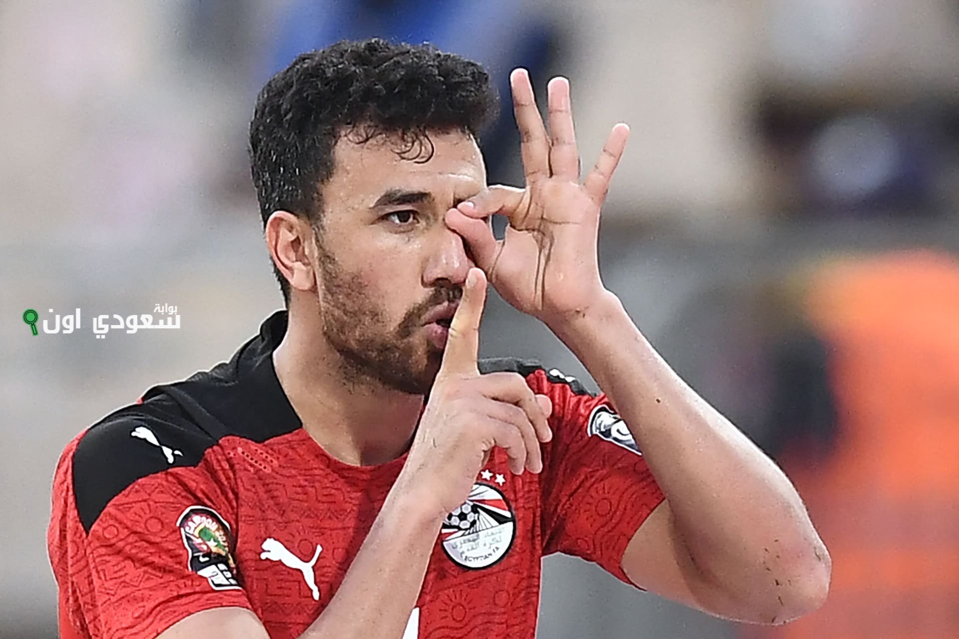 محمود حسن تريزيجيه