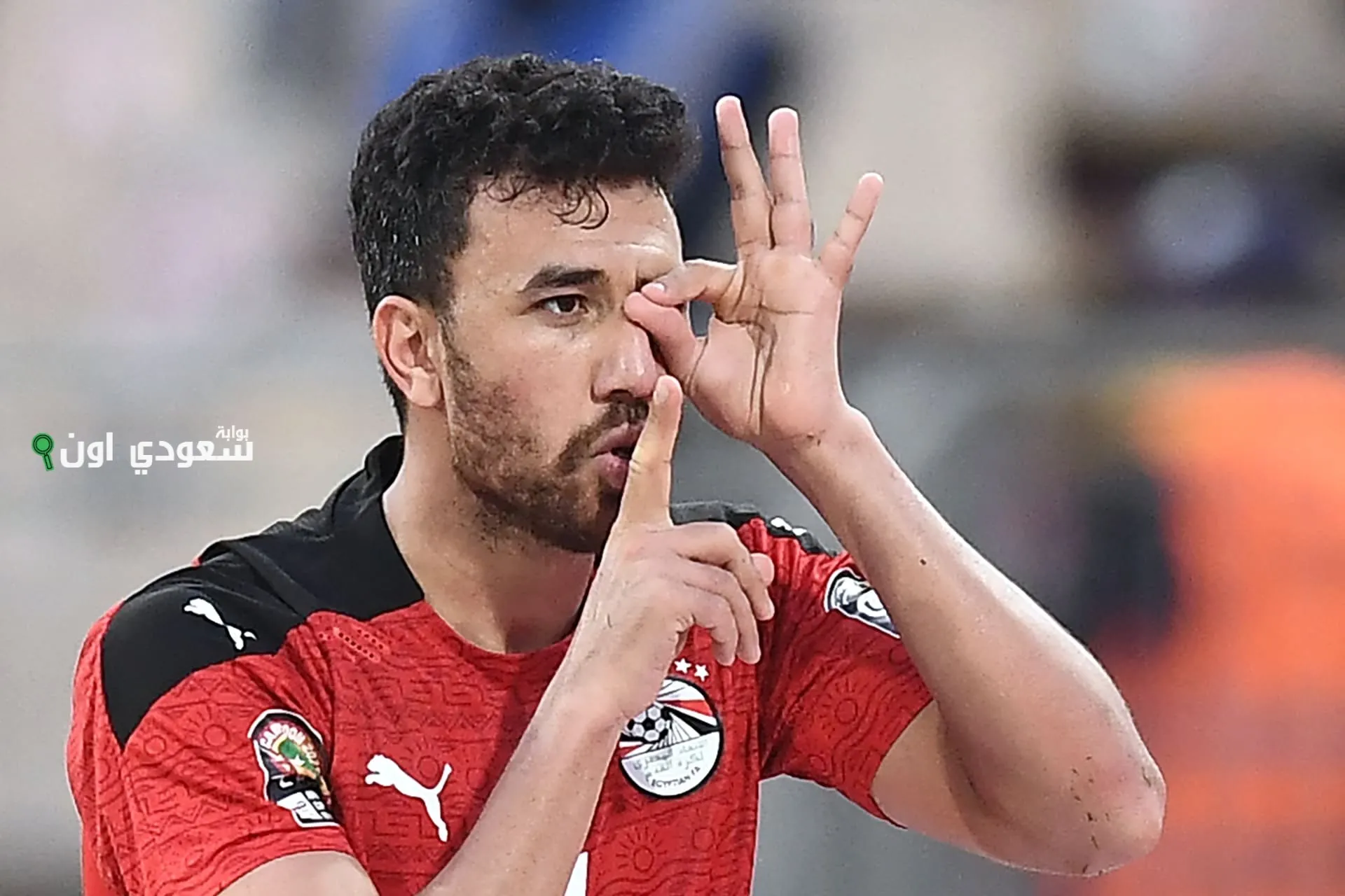 محمود حسن تريزيجيه