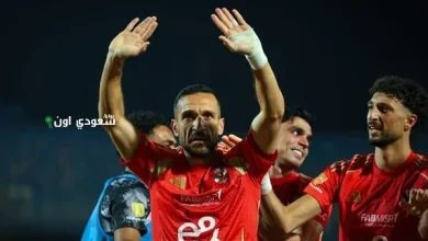 علي معلول