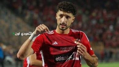 وسام أبو علي