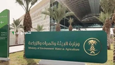 مصادرة 25 طناً من المنتجات المخالفة للاشتراطات في الجوف