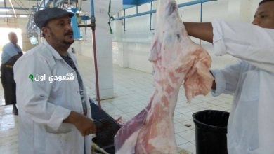 المسالخ والأسواق تحضيراً لعيد الأضحى المبارك
