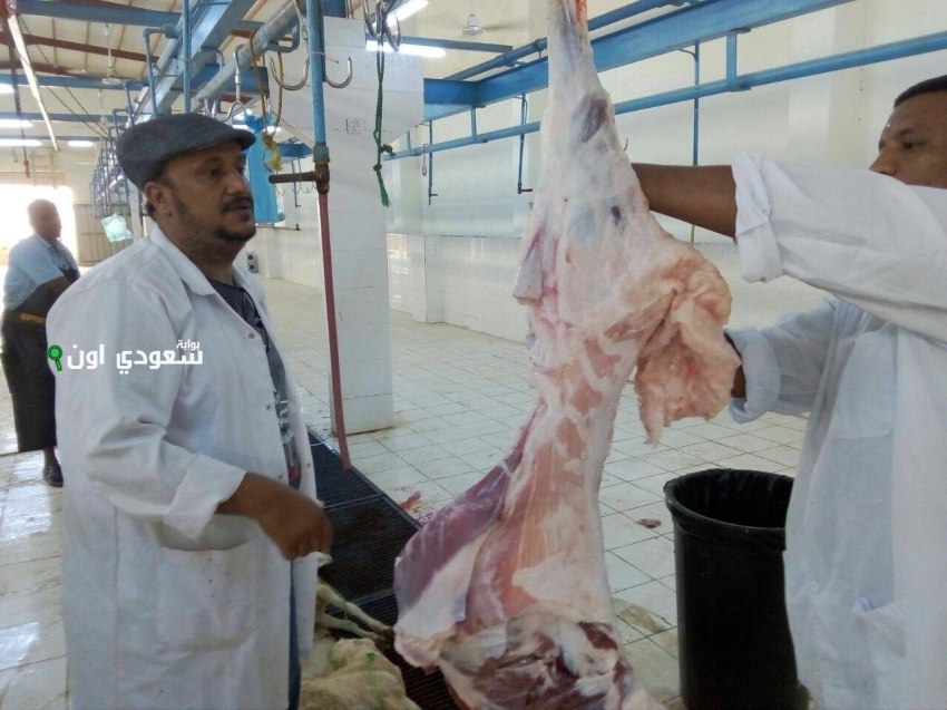 المسالخ والأسواق تحضيراً لعيد