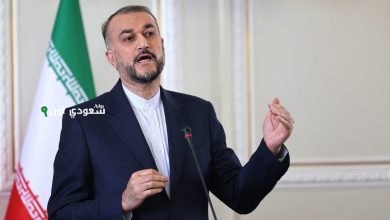 السفير الإيراني