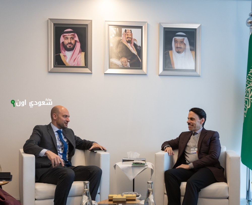 وزير الخارجية يبحث مع نظيره الفرنسي آخر مستجدات الأوضاع الإقليمية وتداعياتها