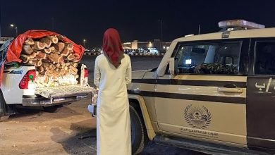 ضبط مخالف لنظام البيئة خلال نقل حطب