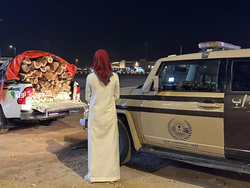 ضبط مخالف لنظام البيئة خلال نقل حطب محلي بالمدينة المنورة