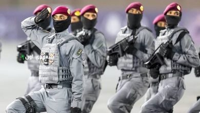 وحدة الصقور GIP