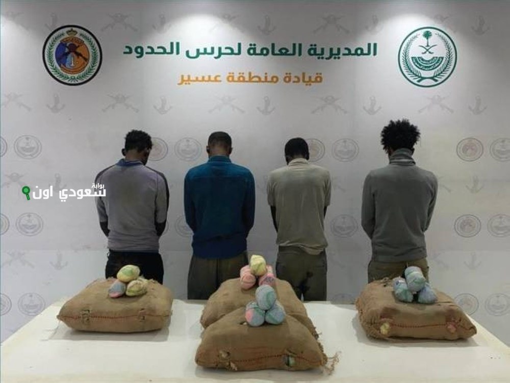 عسير: السلطات تقبض على أربعة مخالفين لتهريبهم 72 كيلوغراماً من نبتة القات