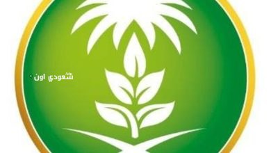 صندوق التنمية يُطلق خدمة إعفاء المتوفين