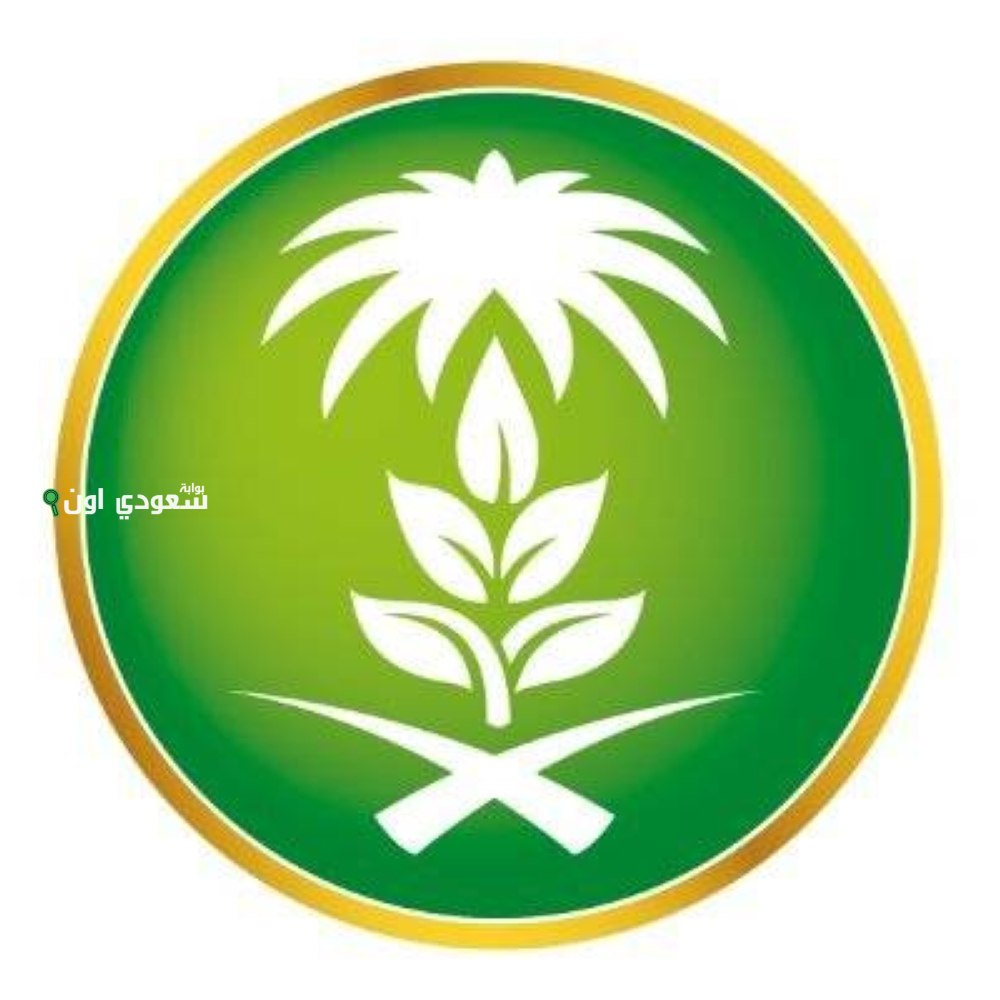صندوق التنمية يُطلق خدمة إعفاء المتوفين بالتعاون مع تطبيق “توكلنا”